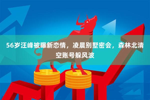 56岁汪峰被曝新恋情，凌晨别墅密会，森林北清空账号躲风波